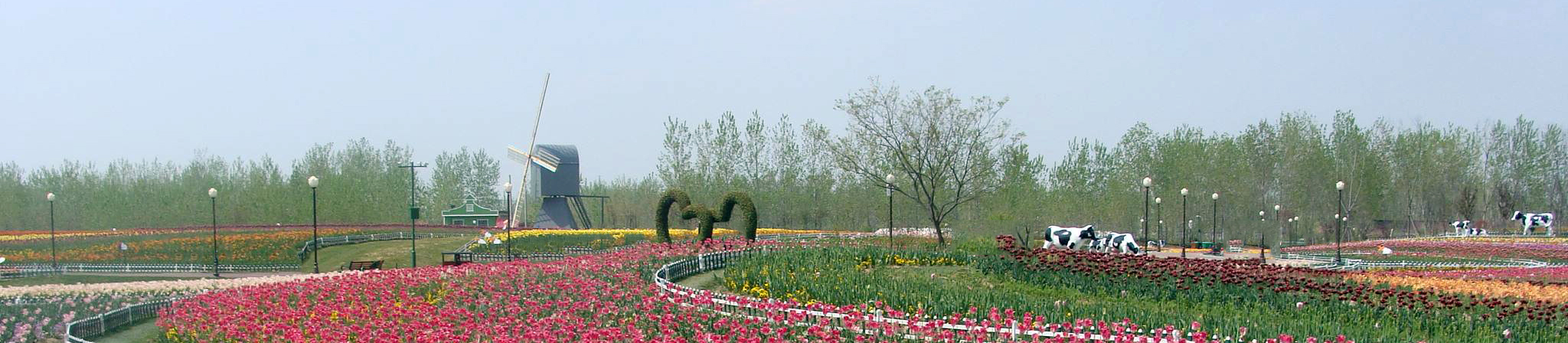 http://www.qjnu.com.cn/data/upload/202012/20201218110840_374.jpg